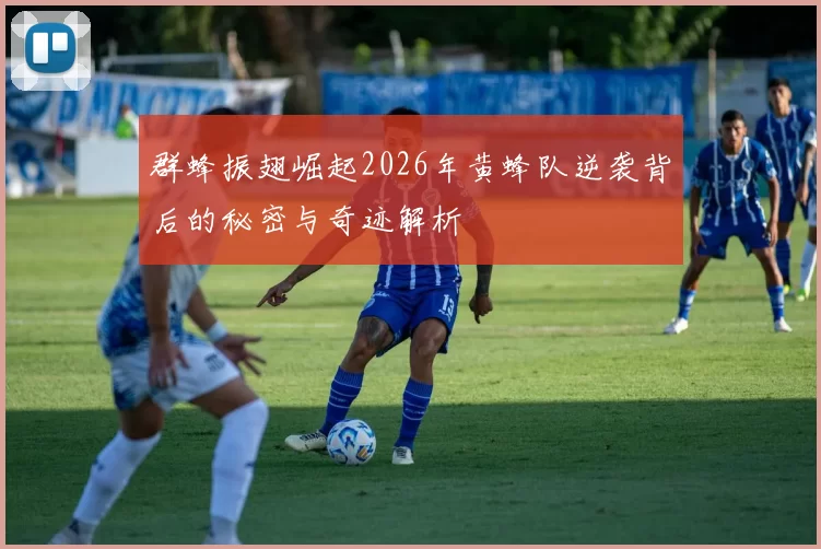 群蜂振翅崛起2026年黄蜂队逆袭背后的秘密与奇迹解析